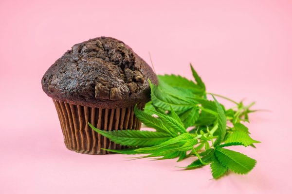 Cannabis Chocolate muffins infused with CBD or THC edibles